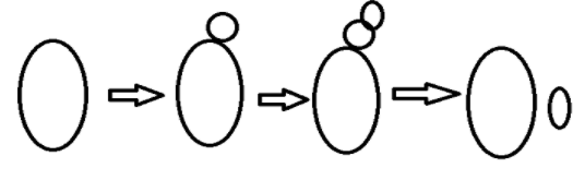 seo images