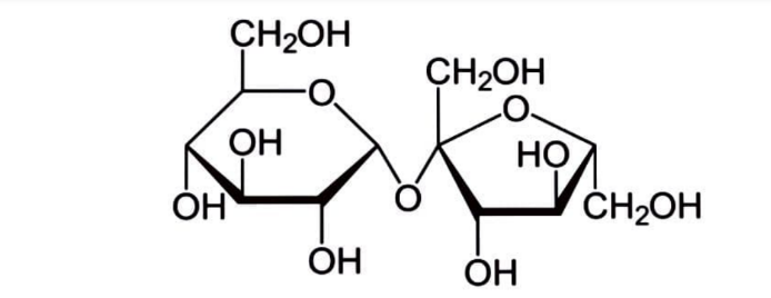 What Is Sugar Cane Used For