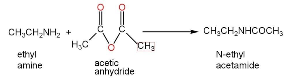 A Reaction Of Ethyl Amine And Acetic Anhydride Leads Class 12 Chemistry 