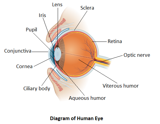 seo images