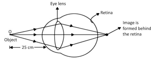 seo images