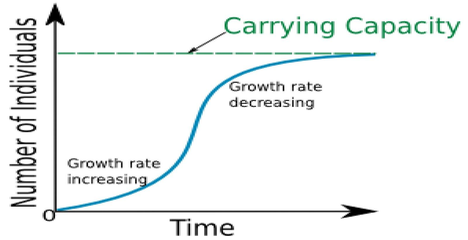 What is logistic growth?