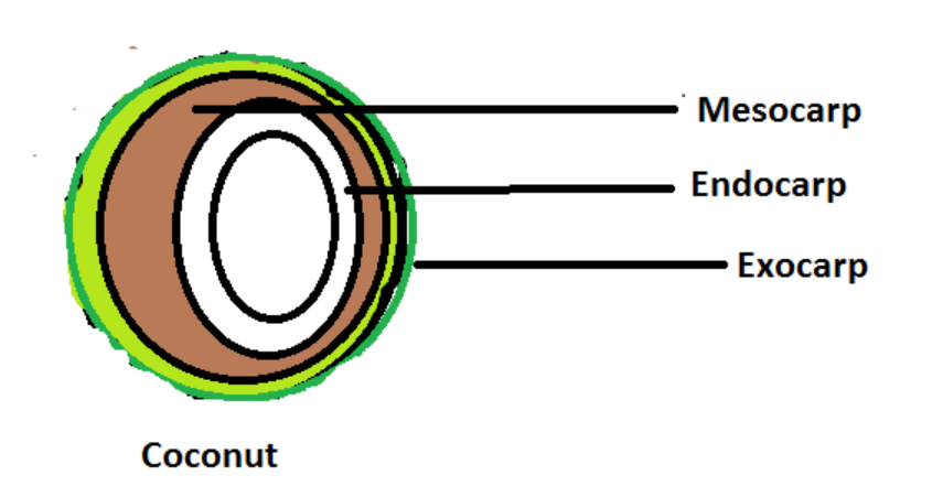 seo images
